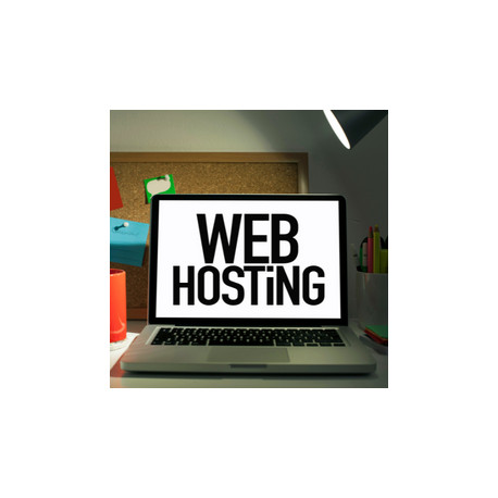 Professional Hosting Package